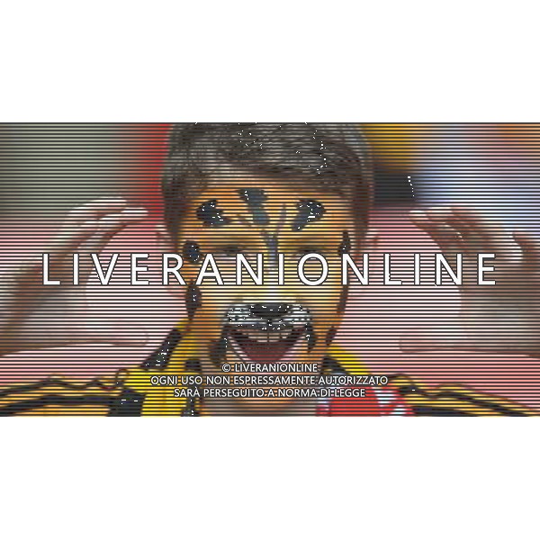 YOUNG HULL CITY FAN WITH TIGER FACE PAINT ARSENAL FC V HULL CITY FC ARSENAL FC V HULL CITY FC, THE BUDWEISER FA CUP FINAL WEMBLEY STADIUM, LONDON, ENGLAND 17 May 2014 GAU80857 THE BUDWEISER FA CUP FINAL 2014 WARNING! This Photograph May Only Be Used For Newspaper And/Or Magazine Editorial Purposes. May Not Be Used For Publications Involving 1 player, 1 Club Or 1 Competition Without Written Authorisation From Football DataCo Ltd. For Any Queries, Please Contact Football DataCo Ltd on +44 (0) 207 864 9121 ag aldo liverani sas only italy