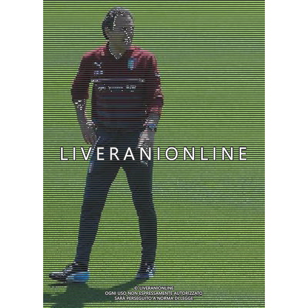 Raduno Nazionale Italiana in vista dei Mondiali di Calcio FIFA 2014 in Brasile Firenze - 20.05.2014 Allenamento Nella Foto:prandelli /Ph.Vitez-Ag. Aldo Liverani