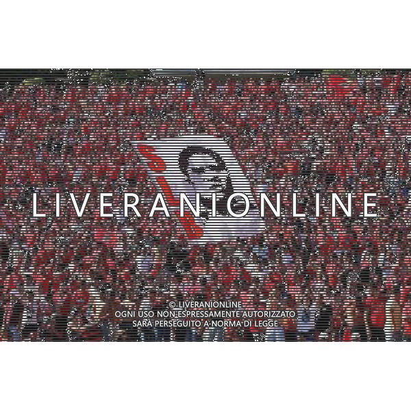 Supporters Benfica - Eusebio - 18.05.2014 - Benfica / Rio Ave - Finale Coupe du Portugal - Photo : Carlos Rodrigues / Icon Sport AG ALDO LIVERANI SAS ONLY ITALY