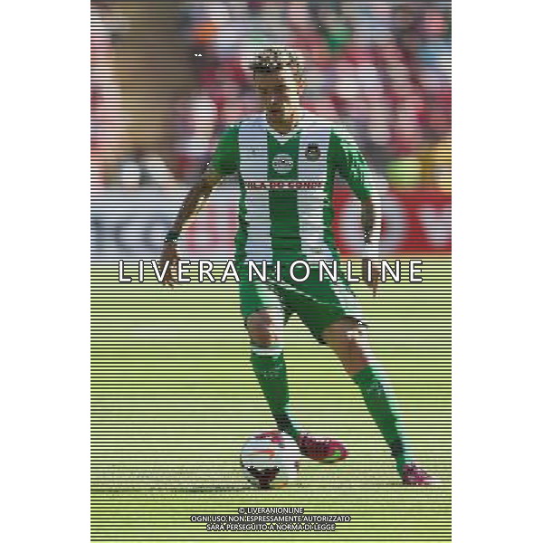 Lionn - 18.05.2014 - Benfica / Rio Ave - Finale Coupe du Portugal - Photo : Carlos Rodrigues / Icon Sport AG ALDO LIVERANI SAS ONLY ITALY