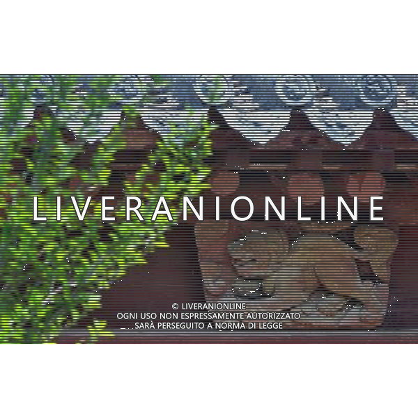 (140523) -- ZHENGZHOU, May 23, 2014 () -- Photo taken on May 24, 2010 shows a Qilin-shaped wood sculpture under the eaves of the main hall of the Anguo Temple in Licun Township of Shanxian County, central China\'s Henan Province. A large number of architectural sculptures have been preserved in historical sites of Henan, which is one of the cradles of the Chinese civilization. Many of the sculptures, created from stones, bricks, or wood, were used as building parts of residences, shrines and memorial archways, among other architecture types. Underlining both the mood and the details, these sculptures have themes including daily life, legends, myths and opera scenes. (/Wang Song) (lmm) ©PHOTOSHOTAGENZIA ALDO LIVERANI SAS - ITALY ONLY - EDITORIAL USE ONLY - Sculture, realizzate con pietre, mattoni o legno, sono stati utilizzati come costruzione di parti di abitazioni, santuari e archi commemorativi e stati conservati in luoghi storici di Henan, una delle culle della civilta\' cinese.