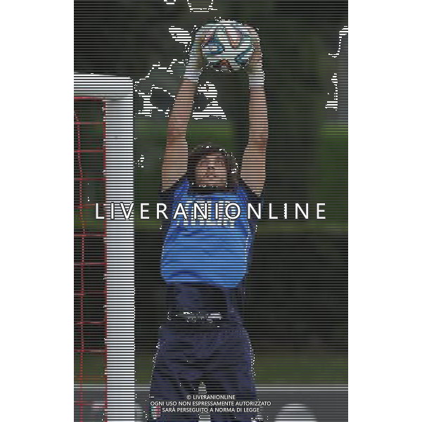 Raduno Nazionale Italiana in vista dei Mondiali di Calcio FIFA 2014 in Brasile Firenze - 27.05.2014 Allenamento Nella Foto:perin /Ph.Vitez-Ag. Aldo Liverani