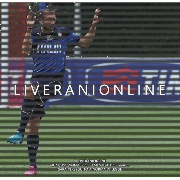 Raduno Nazionale Italiana in vista dei Mondiali di Calcio FIFA 2014 in Brasile Firenze - 30.05.2014 Allenamento Nella Foto:chiellini /Ph.Vitez-Ag. Aldo Liverani