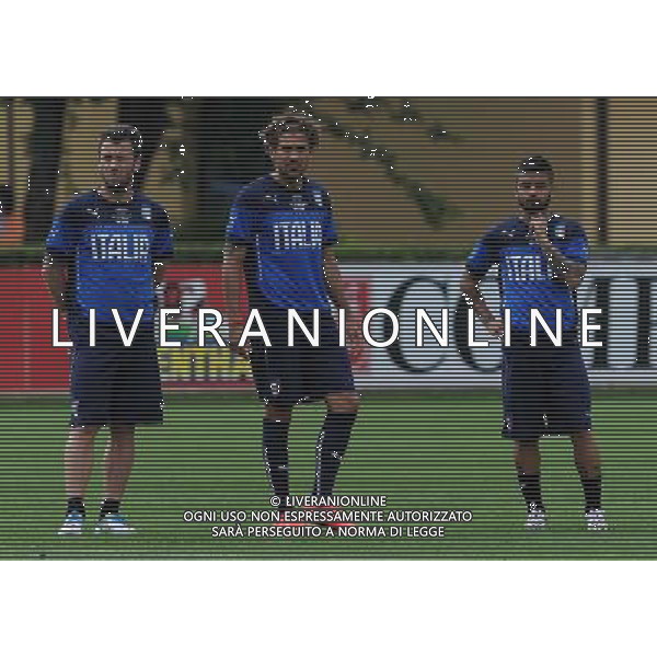 Raduno Nazionale Italiana in vista dei Mondiali di Calcio FIFA 2014 in Brasile Firenze - 30.05.2014 Allenamento Nella Foto:cassano cerci insigne /Ph.Vitez-Ag. Aldo Liverani