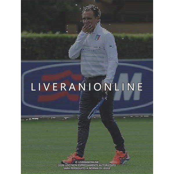 Raduno Nazionale Italiana in vista dei Mondiali di Calcio FIFA 2014 in Brasile Firenze - 30.05.2014 Allenamento Nella Foto:prandelli /Ph.Vitez-Ag. Aldo Liverani