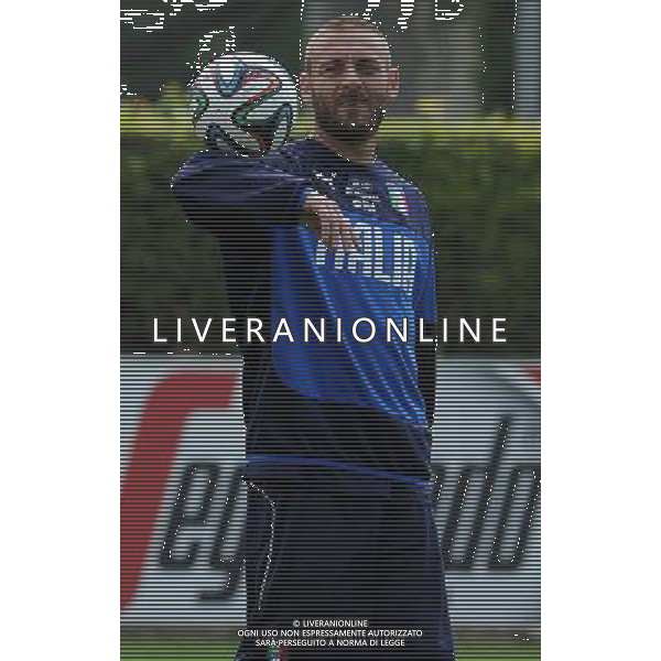 Raduno Nazionale Italiana in vista dei Mondiali di Calcio FIFA 2014 in Brasile Firenze - 30.05.2014 Allenamento Nella Foto:de rossi daniele /Ph.Vitez-Ag. Aldo Liverani