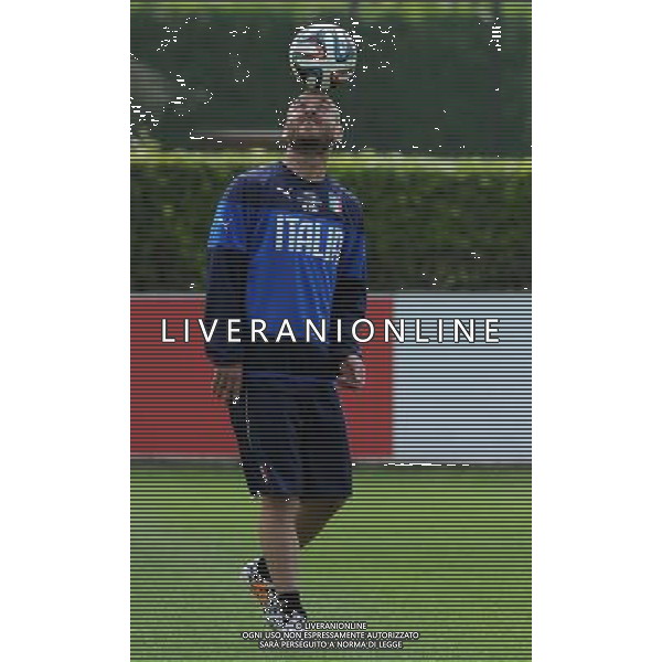 Raduno Nazionale Italiana in vista dei Mondiali di Calcio FIFA 2014 in Brasile Firenze - 30.05.2014 Allenamento Nella Foto:de rossi daniele /Ph.Vitez-Ag. Aldo Liverani