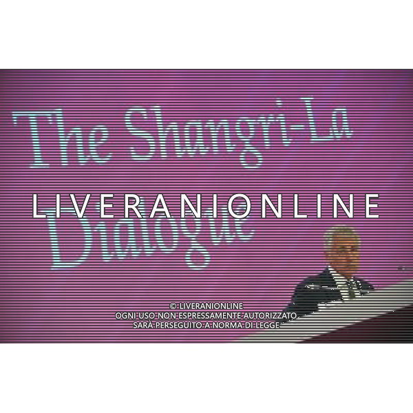 (140531) -- SINGAPORE, May 31, 2014 () -- U.S. Defense Secretary Chuck Hagel attends the Shangri-La Dialogue held in Singapore on May 31, 2014. Shangri-La Dialogue, which opened on Friday in Singapore, is a multilateral forum organized by the London-based think tank International Institute for Strategic Studies. (/Then Chih Wey) Â©photoshot/AGENZIA ALDO LIVERANI SAS - ITALY ONLY - EDITORIAL USE ONLY