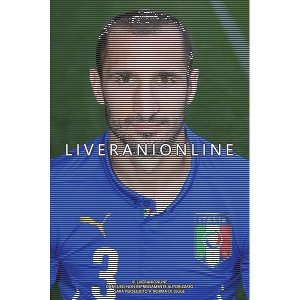 Primi Piani e Gruppo Nazionale Italiana di Calcio per i Mondiali di Calcio FIFA 2014 in Brasile Firenze - 03.06.2014 Nella Foto:Chiellini Giorgio /Ph.Vitez-Ag. Aldo Liverani