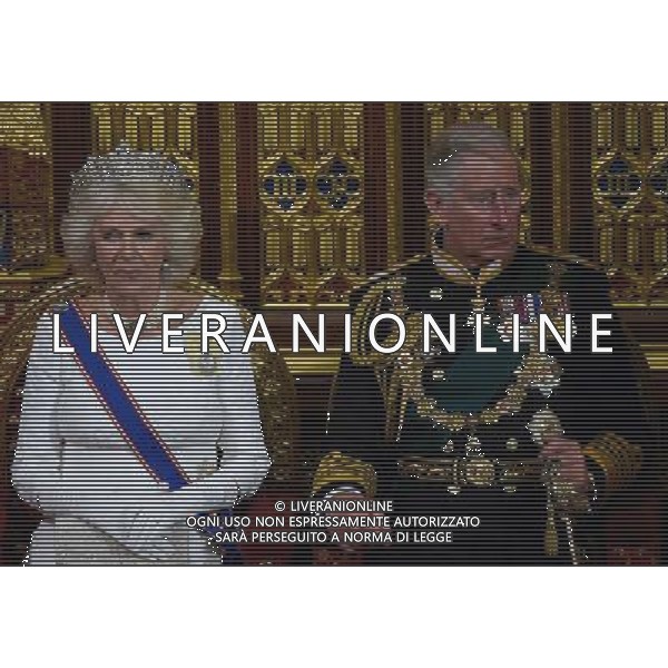 Britain\'s Prince Charles, Prince of Wales (R) and Camilla, Duchess of Cornwall (L) listen as Britain\'s Queen Elizabeth II (not seen) delivers the Queen\'s Speech from the Throne in the House of Lords during the State Opening of Parliament at the Palace of Westminster in London on June 4, 2014. The State Opening of Parliament marks the formal start of the parliamentary year and the Queen\'s Speech sets out the government\'s agenda for the coming session. AG ALDO LIVERANI SAS ONLY ITALY