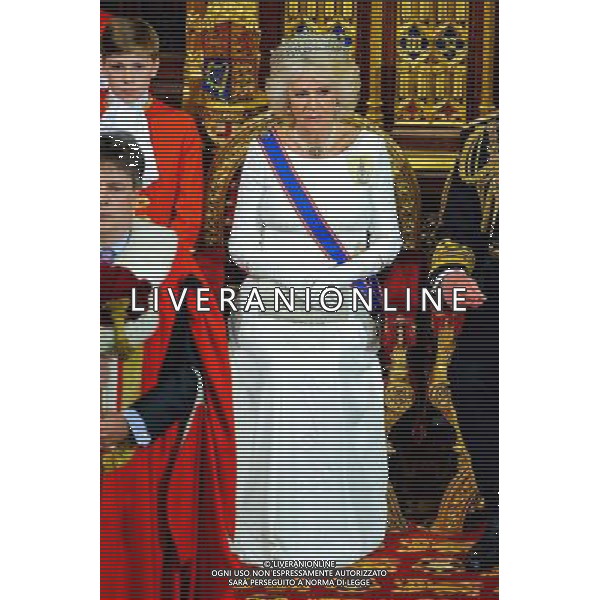 04/06/2014 Camilla Parker Bowles Duchess of Cornwall State Opening Of Parliament 2014 at Westminster Abbey in London AG ALDO LIVERANI SAS ONLY ITALY