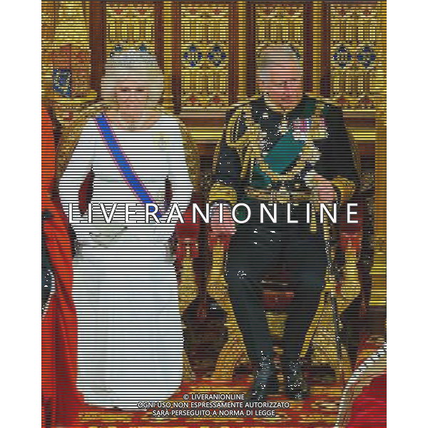 04/06/2014 Camilla Parker Bowles Duchess of Cornwall and Prince Charles Prince of Wales State Opening Of Parliament 2014 at Westminster Abbey in London AG ALDO LIVERANI SAS ONLY ITALY