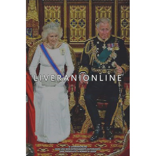 04/06/2014 Camilla Parker Bowles Duchess of Cornwall and Prince Charles Prince of Wales State Opening Of Parliament 2014 at Westminster Abbey in London AG ALDO LIVERANI SAS ONLY ITALY