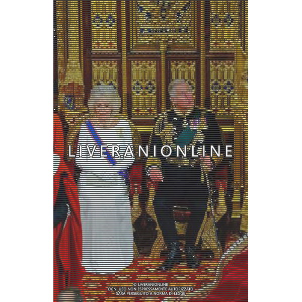04/06/2014 Camilla Parker Bowles Duchess of Cornwall and Prince Charles Prince of Wales State Opening Of Parliament 2014 at Westminster Abbey in London AG ALDO LIVERANI SAS ONLY ITALY