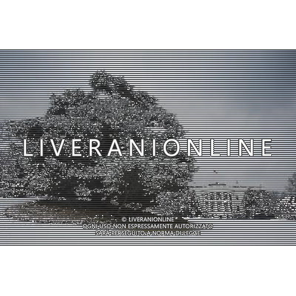 Snow blankets the South Lawn of the White House, Feb. 25, 2014. ©photoshot/Agenzia Aldo Liverani sas - ITALY ONLY - Il Presidente americano Barack Obama