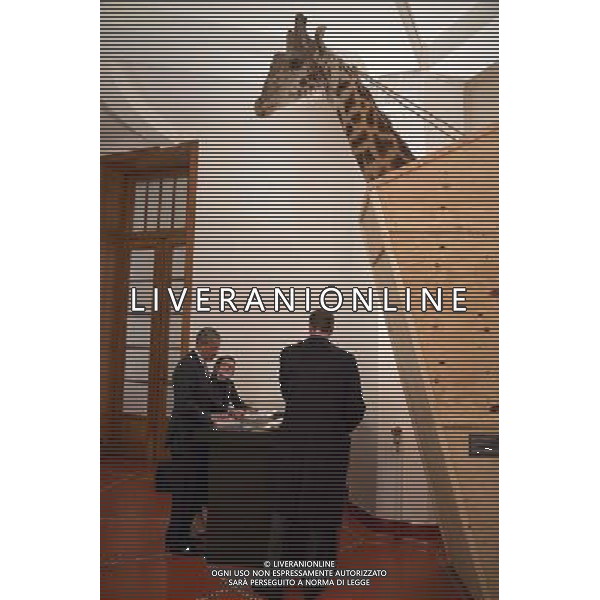 President Barack Obama signs items backstage following his remarks at the Palais Des Beaux Arts in Brussels, Belgium, March 26, 2014. With the President are Advance Associate Director Karly Satkowiak and Trip Director Marvin Nicholson, right. ©PHOTOSHOT/Agenzia Aldo Liverani sas - ITALY ONLY - EDITORIAL USE ONLY - Il Presidente americano Barack Obama