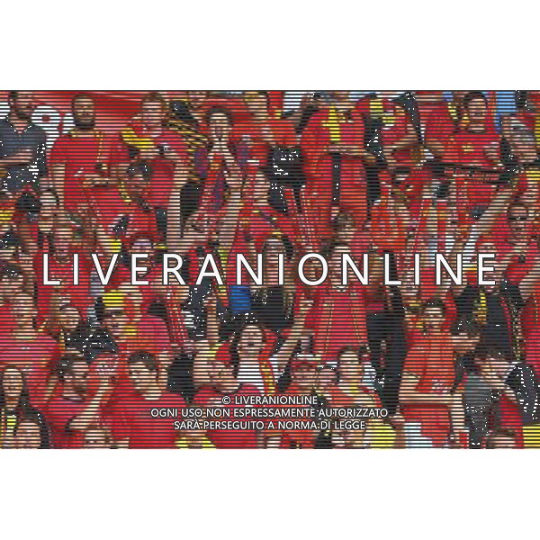 (140608) -- BRUSSELS, June 8, 2014 () -- Belgium\'s supporters cheer for the team during a friendly soccer match against Tunisia in Brussels, on June 7, 2014. Belgium won 1-0. (/Gong Bing) (hy) ©PHOTOSHOT/Agenzia Aldo Liverani sas - ITALY ONLY - EDITORIAL USE ONLY - BELGIO VS TUNISIA partita di calcio amichevole a Bruxelles, 7 giugno 2014. Il Belgio ha vinto per 1-0