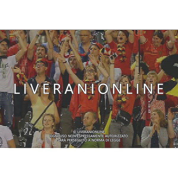 (140608) -- BRUSSELS, June 8, 2014 () -- Belgium\'s supporters cheer for the team during a friendly soccer match against Tunisia in Brussels, on June 7, 2014. Belgium won 1-0. (/Gong Bing) (hy) ©PHOTOSHOT/Agenzia Aldo Liverani sas - ITALY ONLY - EDITORIAL USE ONLY - BELGIO VS TUNISIA partita di calcio amichevole a Bruxelles, 7 giugno 2014. Il Belgio ha vinto per 1-0