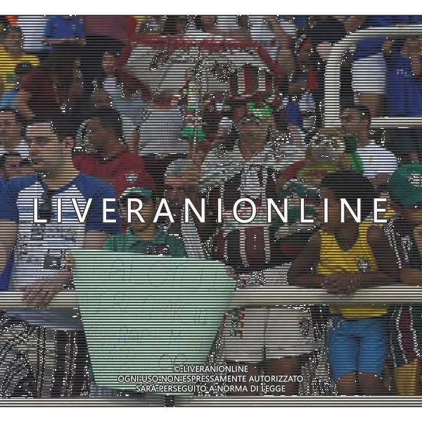 FIFA World Cup Brasile 2014 Amichevole Volta Redonda (Rio de Janeiro) - 08.06.2014 Fluminense-Italia Nella Foto:tifosi fluminense e italia /Ph.Vitez-Ag. Aldo Liverani