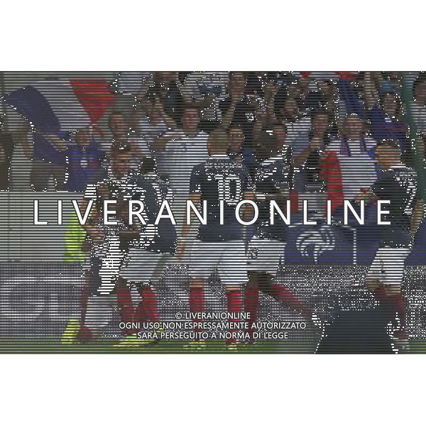 Joie France - 08.06.2014 - France / Jamaique - Match amical Photo : Fred Marvaux / Icon Sport