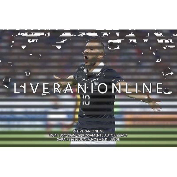 Joie France - Karim BENZEMA - 08.06.2014 - France / Jamaique - Match amical Photo : Fred Marvaux / Icon Sport