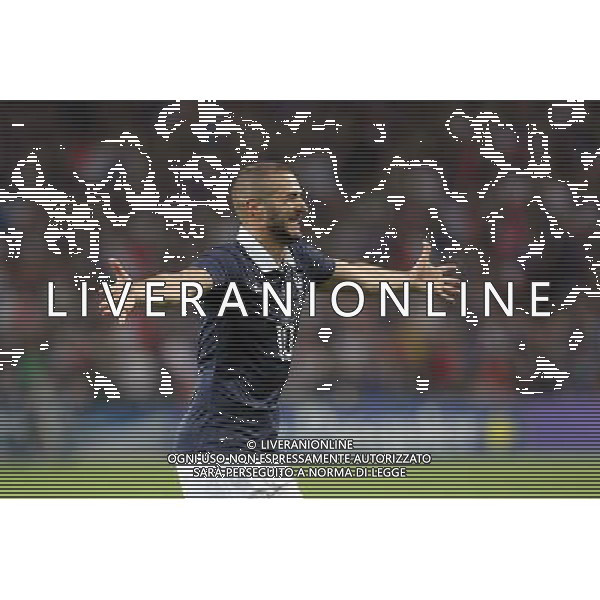 Joie Karim BENZEMA - 08.06.2014 - France / Jamaique - Match amical Photo : Fred Marvaux / Icon Sport