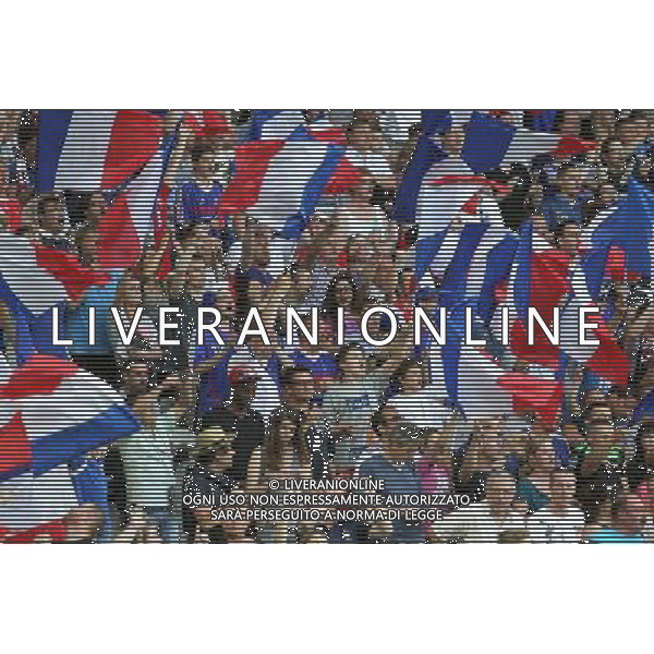 supporters France - 08.06.2014 - France / Jamaique - Match amical Photo : Fred Marvaux / Icon Sport AG ALDO LIVERANI SAS ONLY ITALY