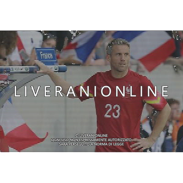 Mickael LANDREAU - 08.06.2014 - France / Jamaique - Match amical Photo : Fred Marvaux / Icon Sport AG ALDO LIVERANI SAS ONLY ITALY
