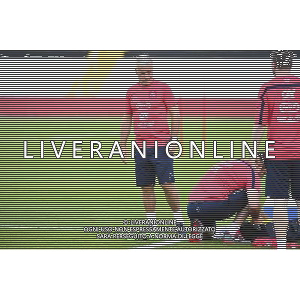 Didier DESCHAMPS - 10.06.2014 - Entrainement Equipe de France - Coupe du Monde 2014 Photo : Dave Winter / Icon Sport