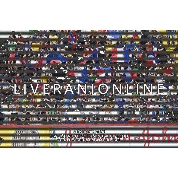 Supporters France - 10.06.2014 - Entrainement Equipe de France - Coupe du Monde 2014 Photo : Dave Winter / Icon Sport