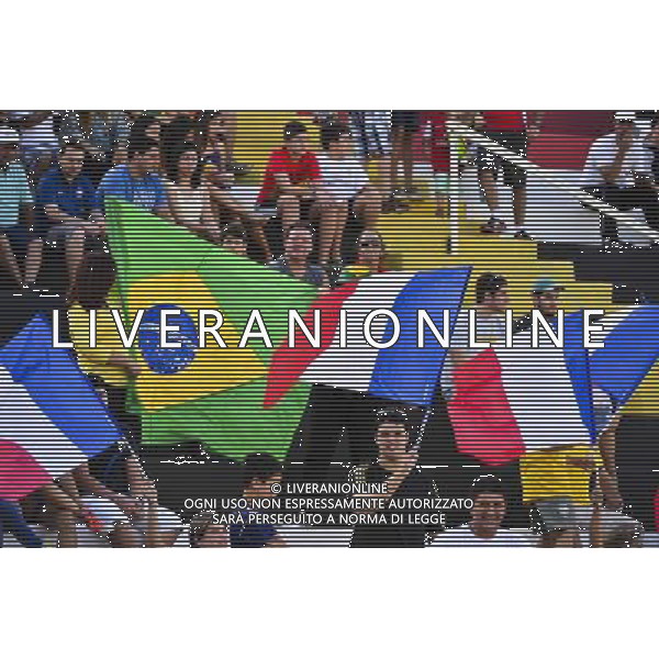 Supporters France - 10.06.2014 - Entrainement Equipe de France - Coupe du Monde 2014 Photo : Dave Winter / Icon Sport