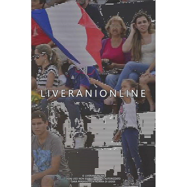 Supporters France - 10.06.2014 - Entrainement Equipe de France - Coupe du Monde 2014 Photo : Dave Winter / Icon Sport