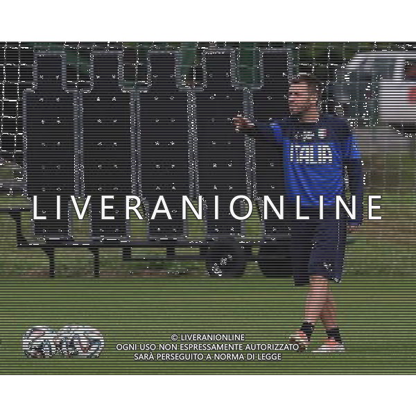 FIFA World Cup Brasile 2014 Mangaritiba (Rio de Janeiro) - 11.06.2014 Allenamento Italia Nella Foto:cassano /Ph.Vitez-Ag. Aldo Liverani