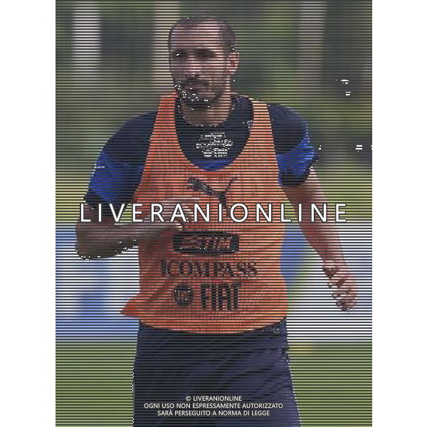 FIFA World Cup Brasile 2014 Mangaritiba (Rio de Janeiro) - 11.06.2014 Allenamento Italia Nella Foto:chiellini /Ph.Vitez-Ag. Aldo Liverani