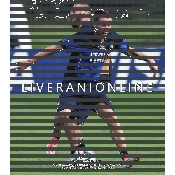 FIFA World Cup Brasile 2014 Mangaritiba (Rio de Janeiro) - 11.06.2014 Allenamento Italia Nella Foto:cassano de rossi /Ph.Vitez-Ag. Aldo Liverani