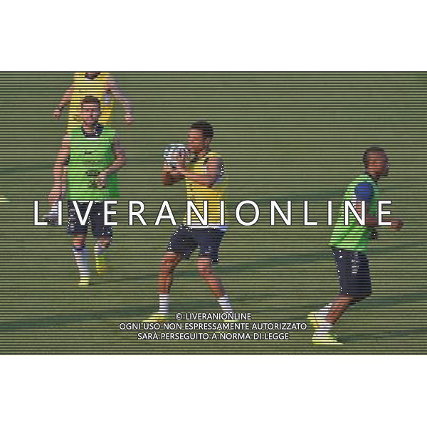 Loic REMY - 11.06.2014 - Entrainement Equipe de France - Coupe du Monde 2014 Photo : Dave Winter / Icon Sport AG ALDO LIVERANI SAS ONLY ITALY