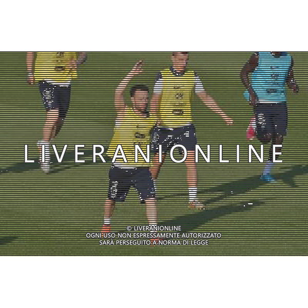 Mathieu VALBUENA - 11.06.2014 - Entrainement Equipe de France - Coupe du Monde 2014 Photo : Dave Winter / Icon Sport AG ALDO LIVERANI SAS ONLY ITALY