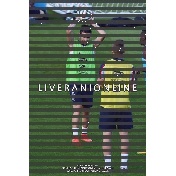 Remy CABELLA - 11.06.2014 - Entrainement Equipe de France - Coupe du Monde 2014 Photo : Dave Winter / Icon Sport AG ALDO LIVERANI SAS ONLY ITALY