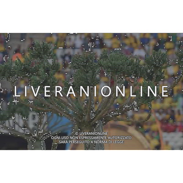 FIFA World Cup Brasile 2014 Gruppo A San Paolo - 12.06.2014 Brasile-Croazia Nella Foto:cerimonia inaugurazione /Ph.Vitez-Ag. Aldo Liverani