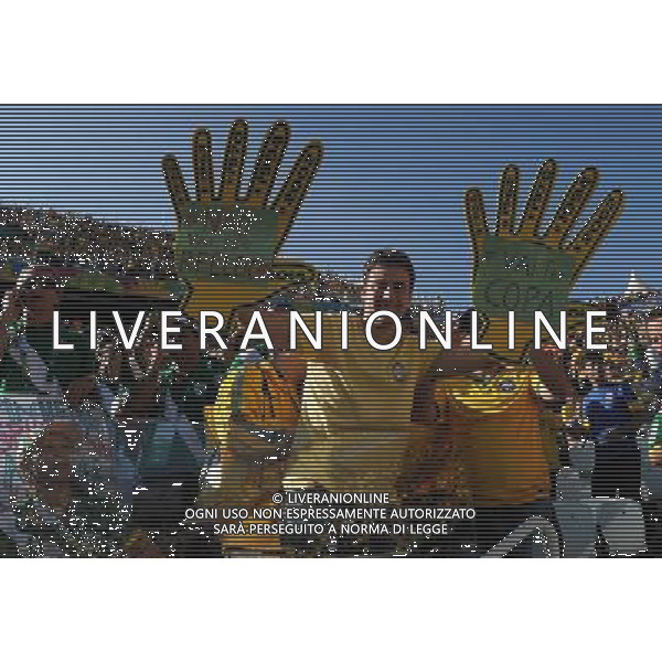 FIFA World Cup Brasile 2014 Gruppo A San Paolo - 12.06.2014 Brasile-Croazia Nella Foto:tifosi /Ph.Vitez-Ag. Aldo Liverani