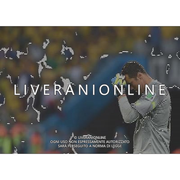 FIFA World Cup Brasile 2014 Gruppo A San Paolo - 12.06.2014 Brasile-Croazia Nella Foto:julio cesar /Ph.Vitez-Ag. Aldo Liverani