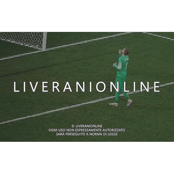 (140612) -- SAO PAULO, June 12, 2014 () -- Croatia\'s goalkeeper Stipe Pletikosa reacts after the penalty goal of Brazil\'s Neymar during the opening match of 2014 FIFA World Cup in the Arena de Sao Paulo Stadium in Sao Paulo, Brazil, June 12, 2014.(/Liao Yujie)(pcy) AG ALDO LIVERANI SAS ONLY ITALY