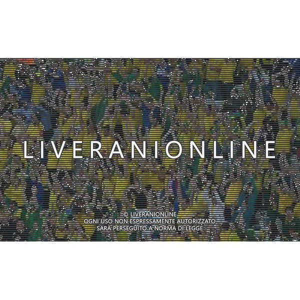 (140612) -- SAO PAULO, June 12, 2014 () -- Brazilian football fans celebrate during the opening match of 2014 FIFA World Cup in the Arena de Sao Paulo Stadium in Sao Paulo, Brazil, June 12, 2014. Brazil won 3-1 over Croatia on Thursday (/Liu Bin)(pcy) ©PHOTOSHOT/Agenzia Aldo Liverani sas - ITALY ONLY - EDITORIAL USE ONLY - Brasile - Croazia partita di apertura della FIFA World Cup Brasile 2014 Gruppo A San Paolo - 12 giugno 2014