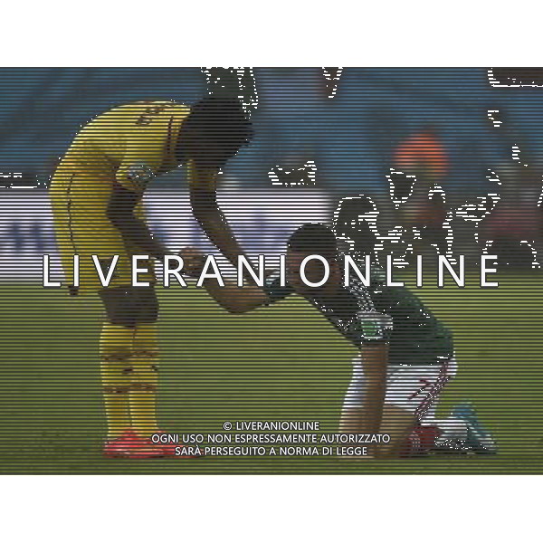 (140613) -- NATAL, June 13, 2014 () -- Cameroon\'s Benjamin Moukandjo (L) helps Mexico\'s Miguel Layun to get up during a Group A match between Mexico and Cameroon of 2014 FIFA World Cup at the Estadio das Dunas Stadium in Natal, Brazil, June 13, 2014. (/Lui Siu Wai)(pcy) ©photoshot/Agenzia Aldo Liverani sas - ITALY ONLY - EDITORIAL USE ONLY - Messico v Camerun partita del Gruppo A Coppa del Mondo FIFA 2014 in Estadio das Dunas Stadium a Natal, Brasile, 13 giugno 2014