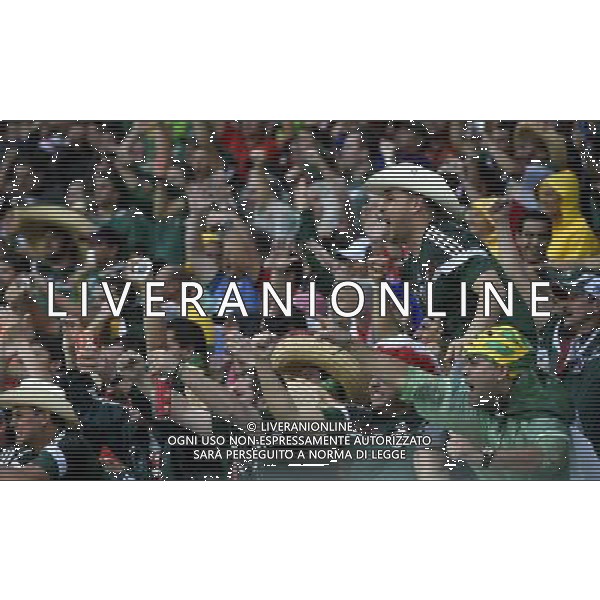 (140613) -- NATAL, June 13, 2014 () -- Mexico\'s football fans celebrate for Oribe Peralta\'s goal during a Group A match between Mexico and Cameroon of 2014 FIFA World Cup at the Estadio das Dunas Stadium in Natal, Brazil, June 13, 2014. (/Lui Siu Wai)(pcy) ©photoshot/Agenzia Aldo Liverani sas - ITALY ONLY - EDITORIAL USE ONLY - Messico v Camerun partita del Gruppo A Coppa del Mondo FIFA 2014 in Estadio das Dunas Stadium a Natal, Brasile, 13 giugno 2014