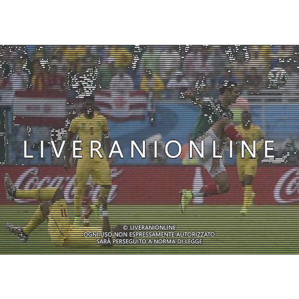 (140613) -- NATAL, June 13, 2014 () -- Cameroon\'s Stephane Mbia (L) lies down during a Group A match between Mexico and Cameroon of 2014 FIFA World Cup at the Estadio das Dunas Stadium in Natal, Brazil, June 13, 2014. (/Lui Siu Wai)(pcy) ©photoshot/Agenzia Aldo Liverani sas - ITALY ONLY - EDITORIAL USE ONLY - Messico v Camerun partita del Gruppo A Coppa del Mondo FIFA 2014 in Estadio das Dunas Stadium a Natal, Brasile, 13 giugno 2014