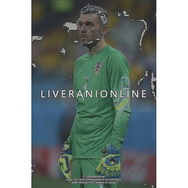 FIFA World Cup Brasile 2014 Gruppo A San Paolo - 12.06.2014 Brasile-Croazia Nella Foto:Pletikosa Stipe /Ph.Vitez-Ag. Aldo Liverani