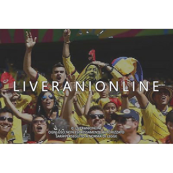 (140614) -- BELO HORIZONTE, June 14, 2014 () -- Colombia\'s fans cheer before a Group C match between Colombia and Greece of 2014 FIFA World Cup at the Estadio Mineirao Stadium in Belo Horizonte, Brazil, June 14, 2014. (/Liu Bin)(pcy) ©PHOTOSHOT/Agenzia Aldo Liverani Sas - ITALY ONLY - EDITORIAL USE ONLY - Colombia Vs Grecia partita del Gruppo C Coppa del Mondo FIFA 2014 Mineirao stadio Estadio a Belo Horizonte, in Brasile 14 Giugno 2014