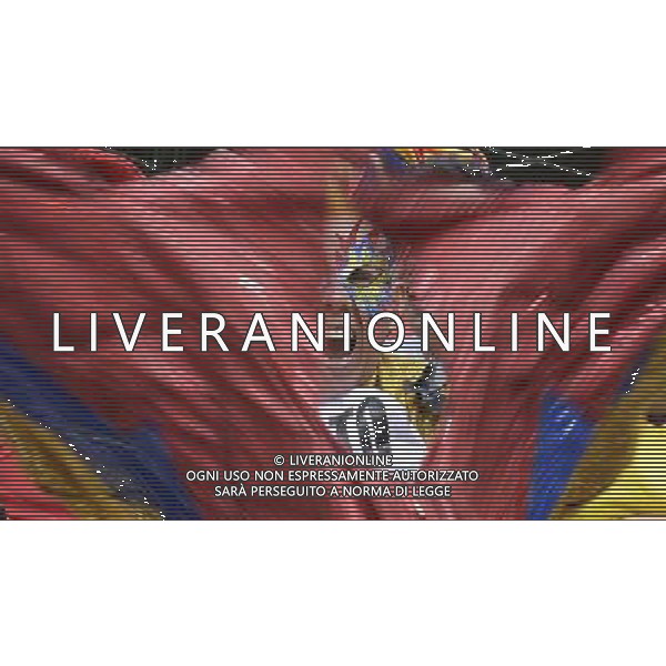 (140614) -- BELO HORIZONTE, June 14, 2014 () -- A Colombia\'s fan cheers during a Group C match between Colombia and Greece of 2014 FIFA World Cup in the Estadio Mineirao Stadium in Belo Horizonte, Brazil, June 14, 2014. (/Qi Heng)(rh) ©PHOTOSHOT/Agenzia Aldo Liverani Sas - ITALY ONLY - EDITORIAL USE ONLY - Colombia Vs Grecia partita del Gruppo C Coppa del Mondo FIFA 2014 Mineirao stadio Estadio a Belo Horizonte, in Brasile 14 Giugno 2014