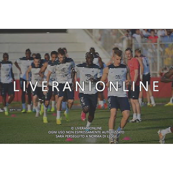 Bacary SAGNA - 13.06.2014 - Entrainement - France - Coupe du Monde 2014 Photo : Dave Winter / Icon Sport AG ALDO LIVERANI SAS ONLY ITALY